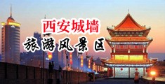 草女人的逼视频中国陕西-西安城墙旅游风景区